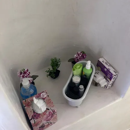 Daire Cycladic Experience Dhriopís