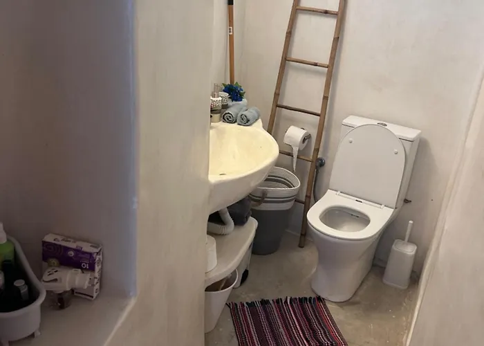 Cycladic Experience * Dhriopís