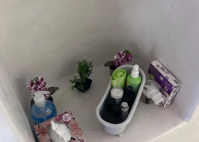 Daire Cycladic Experience Dhriopís